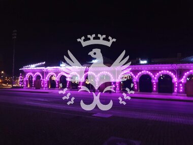 Jul i hjertet. Julebilder fra Hamar