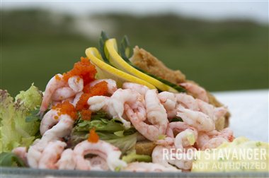 region stavanger 2011