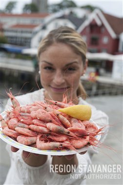 region stavanger 2011