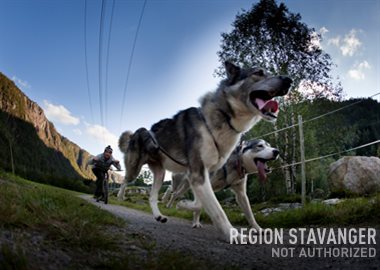 Sirdal Huskyfarm