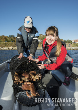 Krabbefisking på Åmøy fjord og ferie