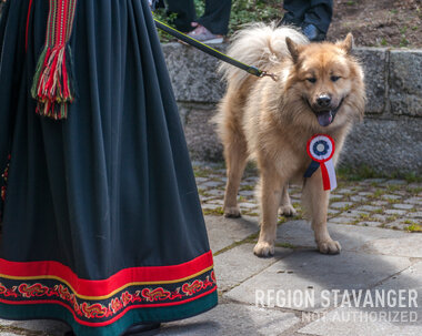 Hund i 17. Mai Pynt 3