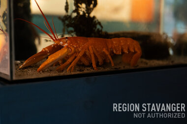 Besøk til Kvitsøy Hummermuseum 7