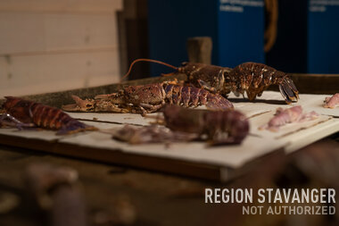 Besøk til Kvitsøy Hummermuseum 4
