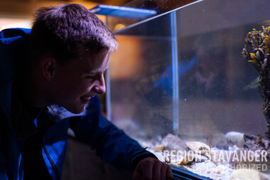 Besøk til Kvitsøy Hummermuseum 10