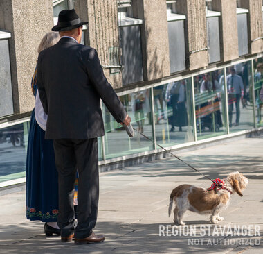 Hund i 17. Mai Pynt 4