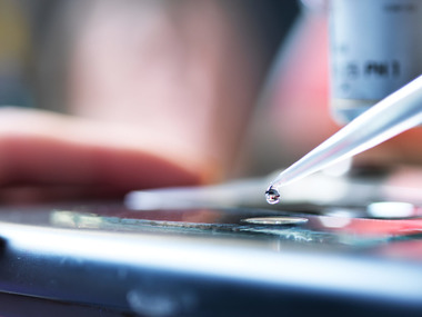 Studenter i laboratorium på Marineholmen