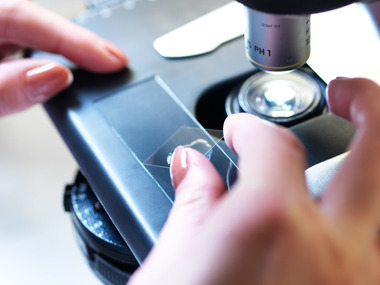 Studenter i laboratorium på Marineholmen