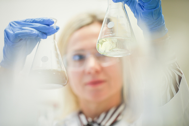 Grad av raffinert olje - gardnerskala