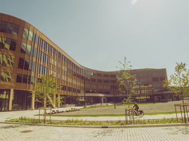 Skipet en sommerdag 2021