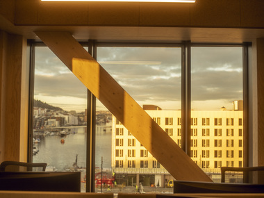 Skipet, Solheimsviken