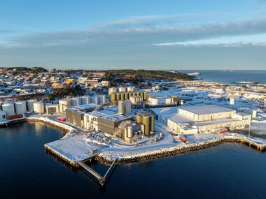 VivoMega Kristiansund dronefoto vinter 2025 fabrikk og administrasjon