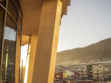 Skipet, Solheimsviken