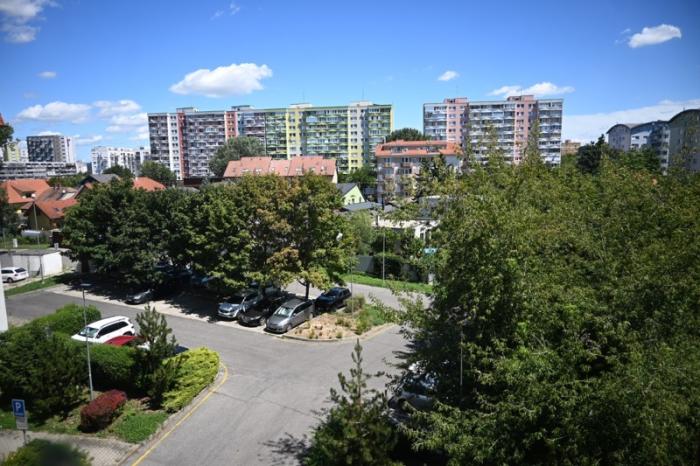 Reality 1-izb. byt v tehlovom dome, Baltská ul. Podunajské Biskupice