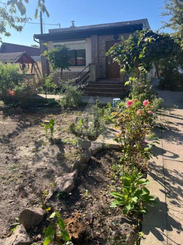 Reality dom, Komárno, Alžbetínsky ostrov