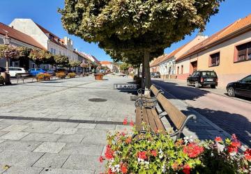 Reality LEXXUS| 5i RD s vinnou pivnicou, Svätý Jur, Prostredná ul., 377 m2