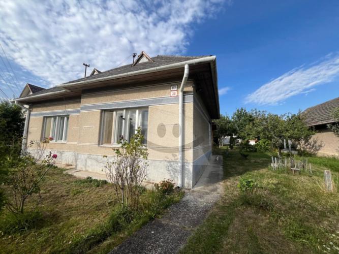 Reality dom, Svodín