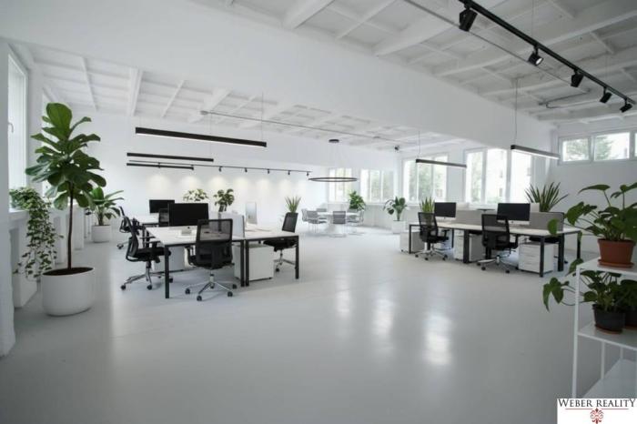 Reality 1-podlažná budova v Ružinove (Narcisova ul.) 230 m2, otvorený priestor