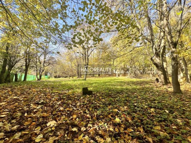 Reality Predaj, rodinný dom Stará Turá, Papraď