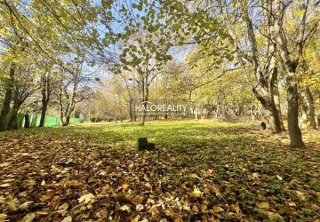 Reality Predaj, rodinný dom Stará Turá, Papraď