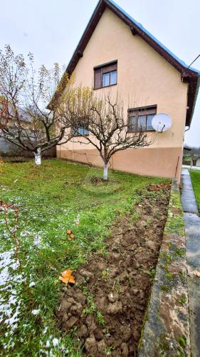 Reality dom, Šebešťanová