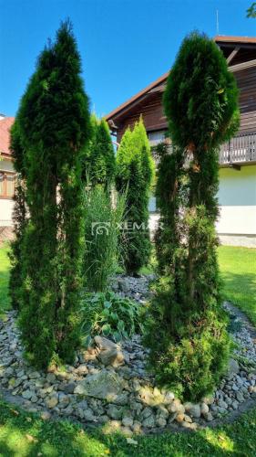 Reality Predaj malý rodinný penzión - Bystrá - exkluzívne