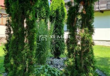 Reality Predaj malý rodinný penzión - Bystrá - exkluzívne