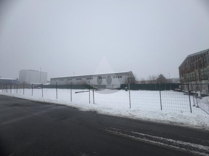 Reality Iné, Žilina