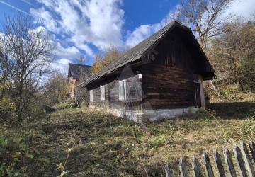 Reality Iné, Kotešová