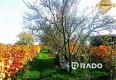 Reality RADO | Vinohradnícky domček s pozemkom v meste Skalica