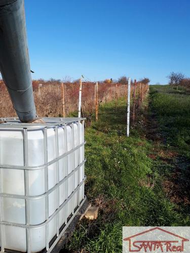 Reality Na predaj Vinica s  hajlokom, v Leviciach