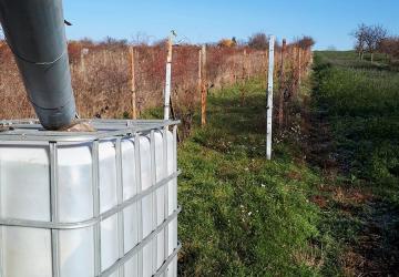 Reality Na predaj Vinica s  hajlokom, v Leviciach