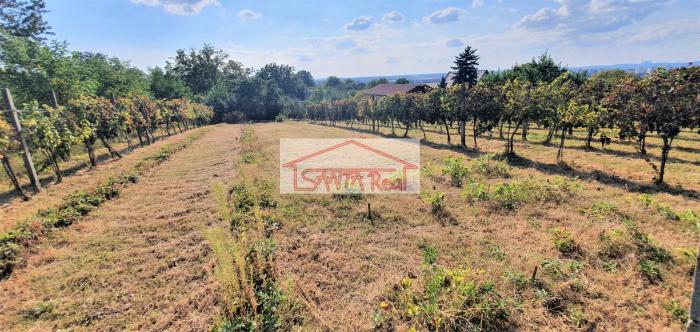 Reality EXKLUZÍVNE NA PREDAJ VINICA V LEVICIACH