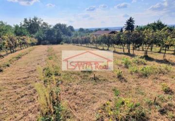 Reality EXKLUZÍVNE NA PREDAJ VINICA V LEVICIACH