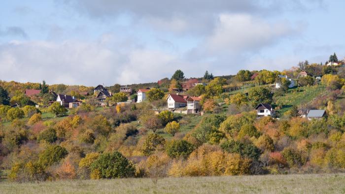 Reality Pozemok, v katastrál. úz. Pukanec -na predaj