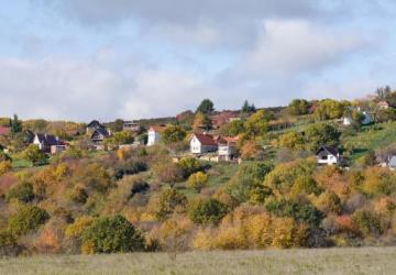 Reality Pozemok, v katastrál. úz. Pukanec -na predaj