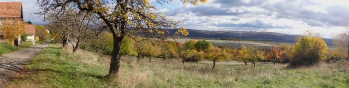 Reality Pozemok(440m2),v katastrál. úz. Pukanec -na predaj