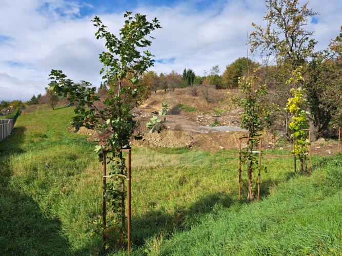 Reality Stavebný na rodinný dom, Liptovský Mikuláš, Podbreziny