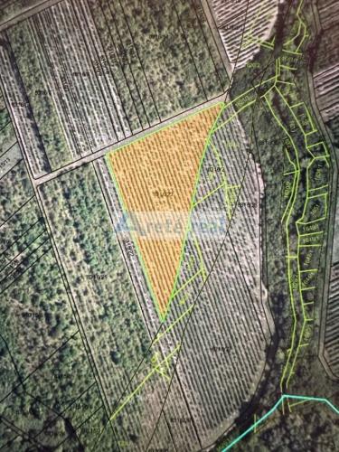Reality ARETÉ REAL - PREDAJ 6452 M2 OBRÁBANEJ VINICE, MODRA, ČASŤ  LAZÁRE