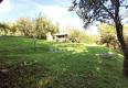 Reality VÝHRADNE! Pozemok s chatkou, Prešov, časť Kalvária, 950 m2