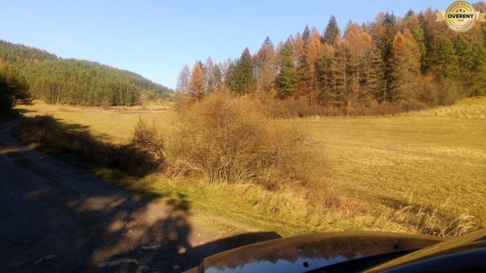 Reality BRIEŠTIE- Hadviga lesný trávnatý pozemok 13 710 m2, vhodný na usadlosť