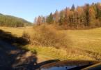 Reality BRIEŠTIE- Hadviga lesný trávnatý pozemok 13 710 m2, vhodný na usadlosť