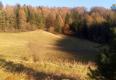 Reality BRIEŠTIE- Hadviga lesný trávnatý pozemok 13 710 m2, vhodný na usadlosť