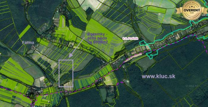 Reality Orná pôda 2 x 6.000m2 v obci Prašník. okr. Piešťany