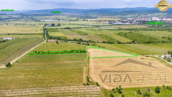 Reality Na predaj zaujímavý pozemok v Modre s výmerou 6419 m2