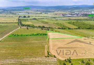 Reality Na predaj zaujímavý pozemok v Modre s výmerou 6419 m2