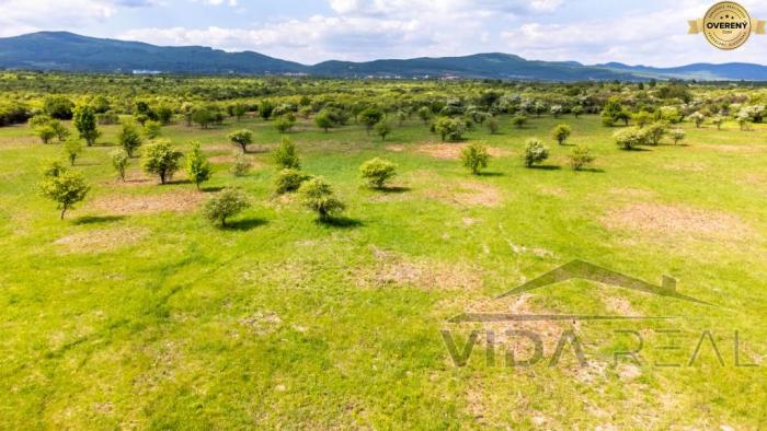 Reality Pozemok v Modre s výmerou až 58.977 m2