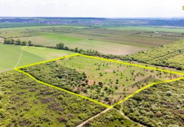 Reality Pozemok v Modre s výmerou až 58.977 m2