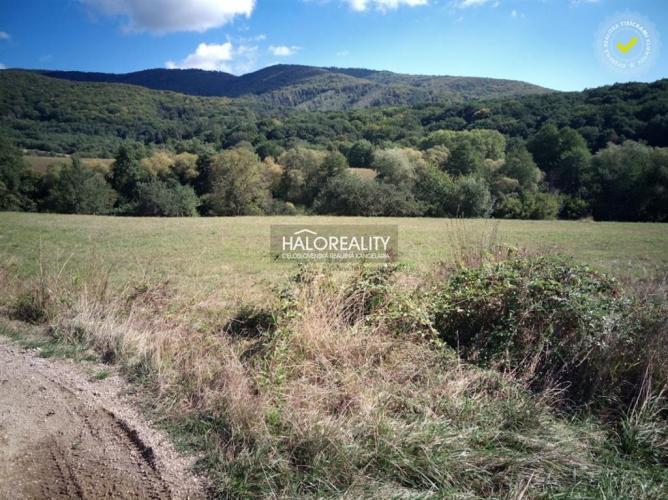 Reality Predaj, pozemok pre rodinný dom   2791 m2 Seč - EXKLUZÍVNE HALO REALITY