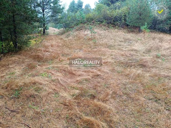 Reality Predaj, pozemok pre rodinný dom   4217 m2 Gelnica, Slovenské Cechy - Nad Krížovou - EXKLUZÍVNE 